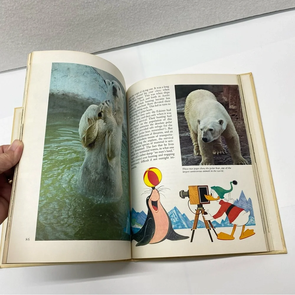 Disney's Wonderful World of Knowledge Book Danbury Press 1971 Hardback Vol 1